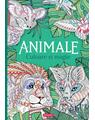 Copertă produs Animale - Culoare și magie - thumb 1