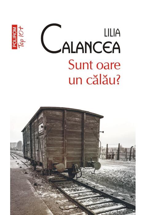 Copertă produs Sunt oare un călău?