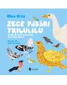 Copertă produs Zece păsări trilulilu - thumb 1