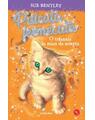 Copertă produs Pisicuța fermecată - thumb 1