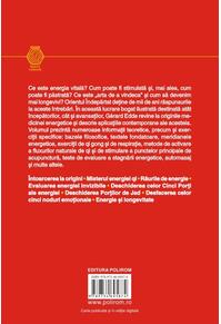 Copertă produs ABC-ul medicinei energetice