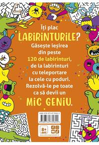 Copertă produs Micile genii: Jocuri cu labirinturi