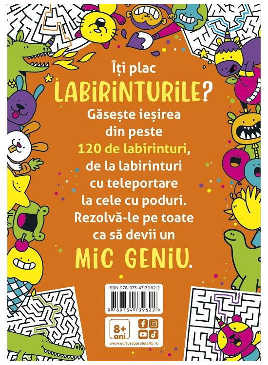 Copertă produs Micile genii: Jocuri cu labirinturi - gallery big 2