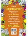 Copertă produs Micile genii: Jocuri cu labirinturi - thumb 2