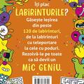Copertă produs Micile genii: Jocuri cu labirinturi - gallery small 