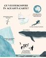 Copertă produs Antartica. Continentul minunilor - thumb 4