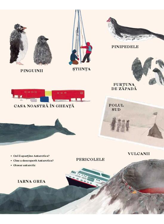 Copertă produs Antartica. Continentul minunilor - gallery big 5