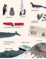 Copertă produs Antartica. Continentul minunilor - thumb 5