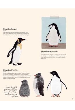 Copertă produs Antartica. Continentul minunilor