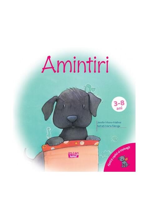 Copertă produs Amintiri