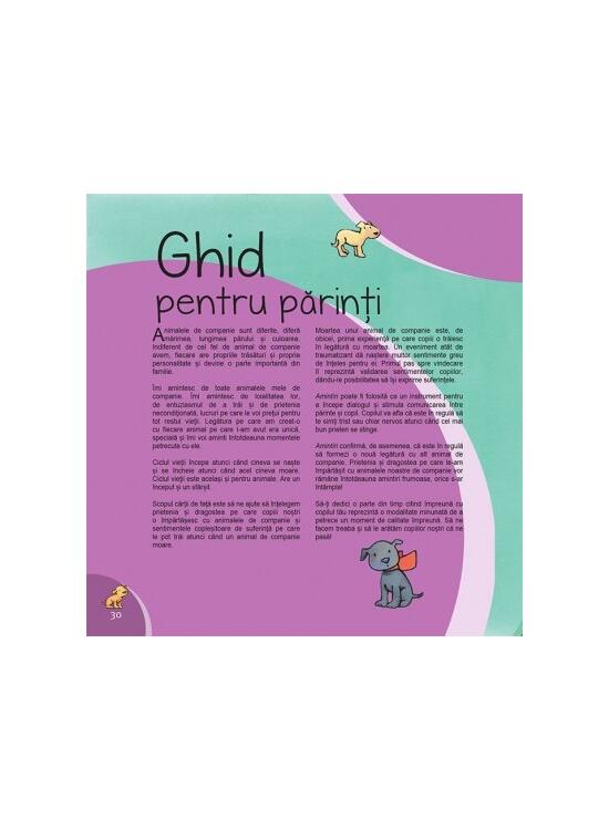 Copertă produs Amintiri - gallery big 6