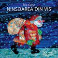 Copertă produs Ninsoarea din vis - gallery small 