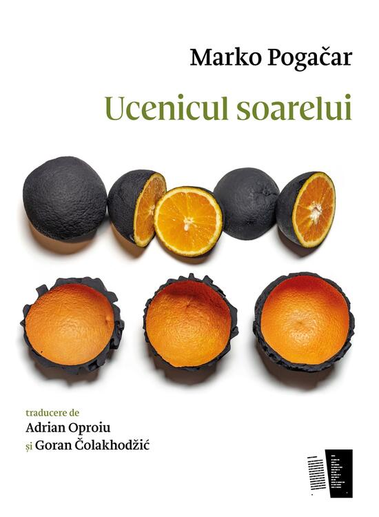 Copertă produs Ucenicul soarelui - gallery big 1