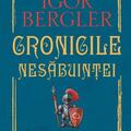 Copertă produs Cronicile nesăbuinței (Carte cu autograf) - gallery small 