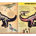 Copertă produs T-Rex - 3D - gallery small 