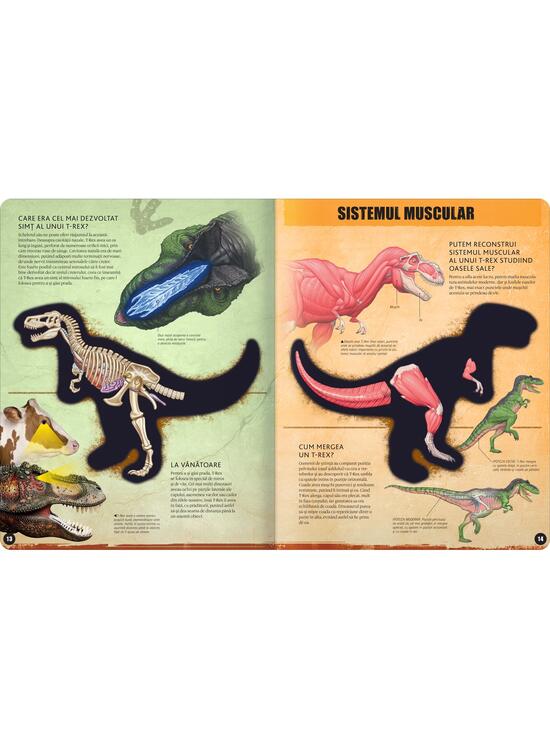 Copertă produs T-Rex - 3D - gallery big 3