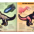 Copertă produs T-Rex - 3D - gallery small 