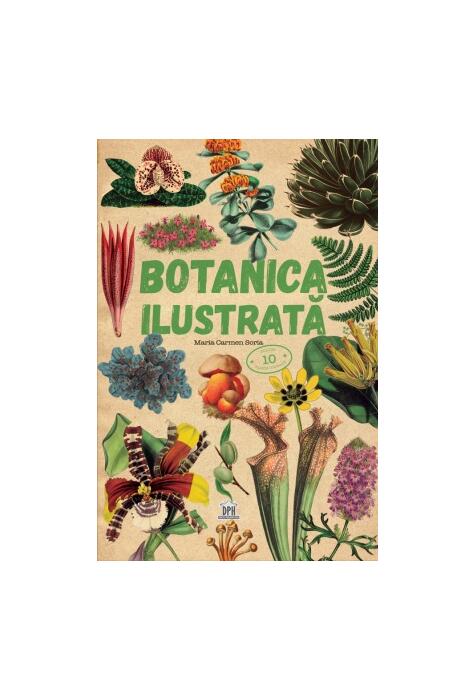 Copertă produs Botanica ilustrată