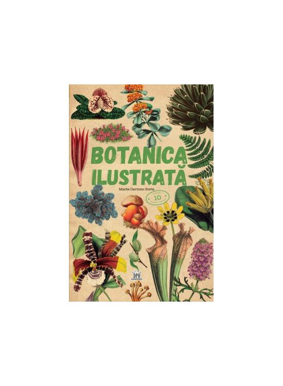 Copertă produs Botanica ilustrată - gallery big 1