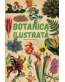 Copertă produs Botanica ilustrată - thumb 1