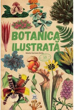 Copertă produs Botanica ilustrată
