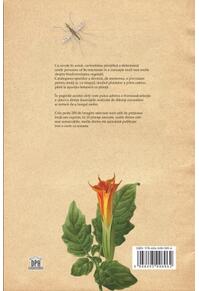 Copertă produs Botanica ilustrată