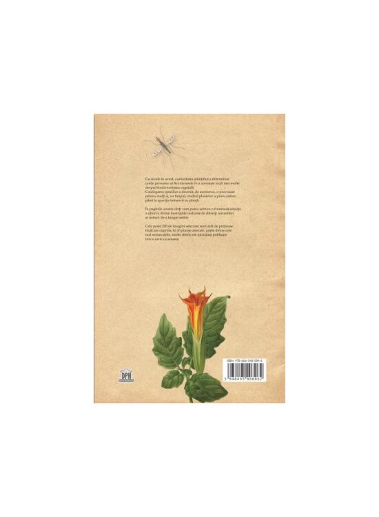 Copertă produs Botanica ilustrată - gallery big 2