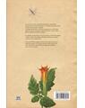 Copertă produs Botanica ilustrată - thumb 2