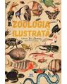 Copertă produs Zoologia ilustrată - thumb 1