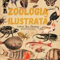 Copertă produs Zoologia ilustrată - gallery small 
