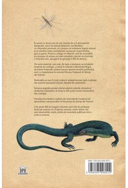 Copertă produs Zoologia ilustrată