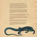 Copertă produs Zoologia ilustrată - gallery small 
