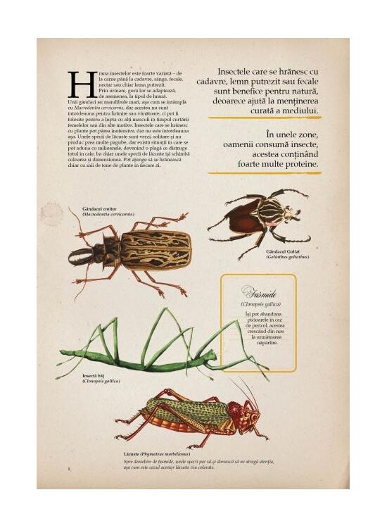 Copertă produs Zoologia ilustrată - gallery big 3