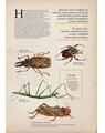 Copertă produs Zoologia ilustrată - thumb 3
