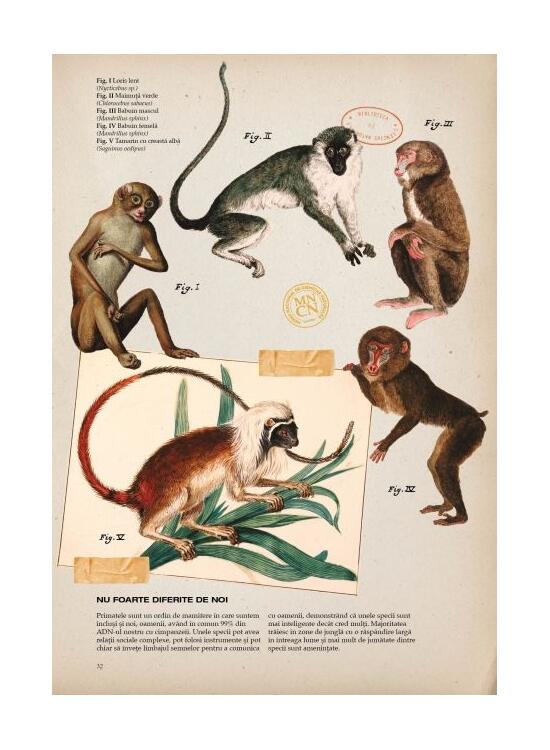 Copertă produs Zoologia ilustrată - gallery big 5