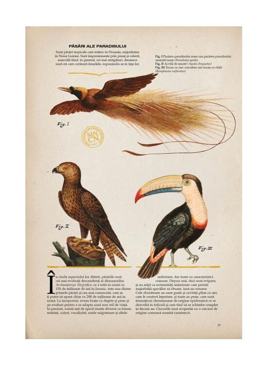 Copertă produs Zoologia ilustrată - gallery big 6