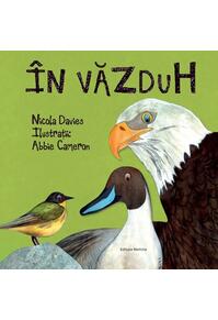 Copertă produs În văzduh