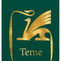 Copertă produs Teme - gallery small 