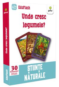 Copertă produs Unde cresc legumele? EduFlash