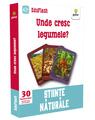 Copertă produs Unde cresc legumele? EduFlash - thumb 1