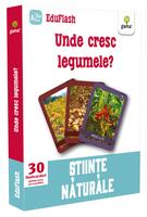 Unde cresc legumele? EduFlash