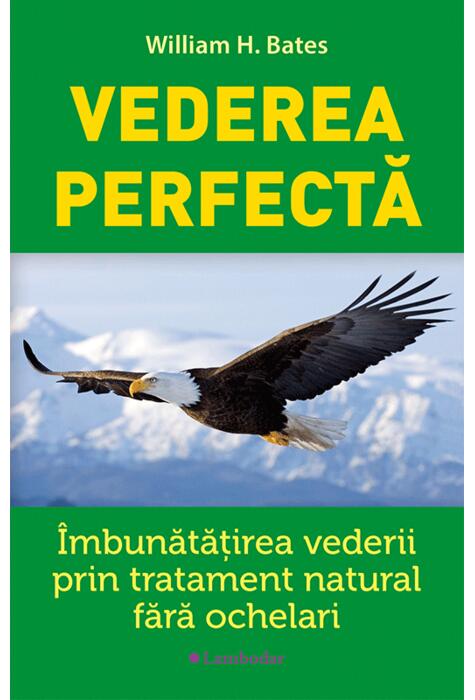 Copertă produs Vederea perfectă