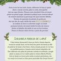 Copertă produs Portalul magic. Salvarea puiului de lamă (Vol. 26) - gallery small 