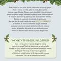 Copertă produs Portalul magic. Vacanță &icirc;n orașul vulcanului (Vol. 13) - gallery small 