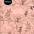 Copertă produs Agendă zilnică Lilly Cat MR24 - gallery small 
