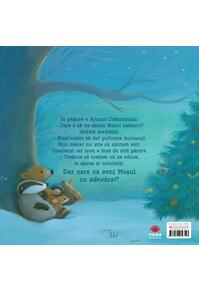 Copertă produs Oare vine Moș Crăciun?