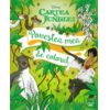 Copertă produs Disney. Cartea Junglei