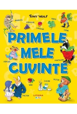 Copertă produs Primele mele cuvinte