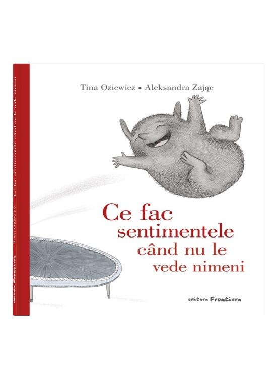 Copertă produs Ce fac sentimentele când nu le vede nimeni - gallery big 1