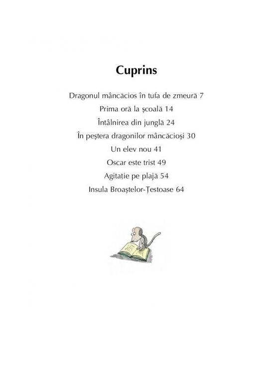 Copertă produs Micul dragon Coconut. Școala dragonilor - gallery big 5